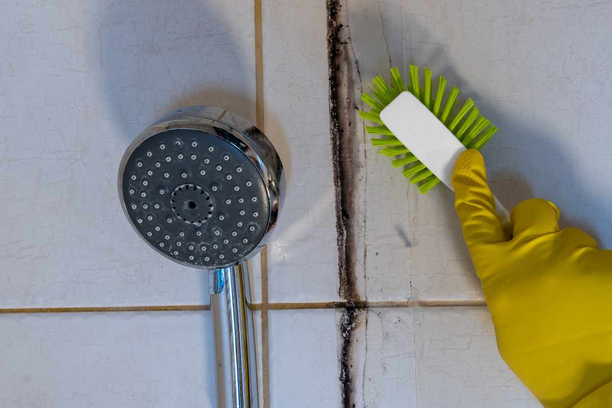 Puoi dire addio per sempre alla muffa nella doccia