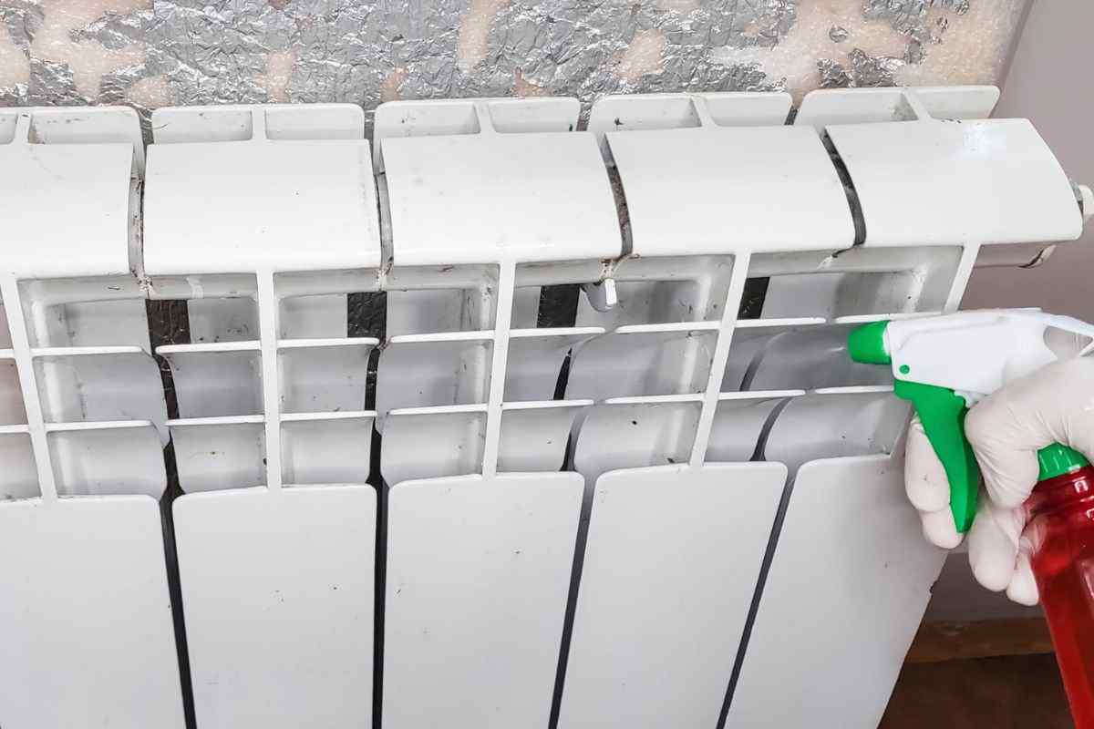 pulizie di casa nuovo anno: 5 consigli